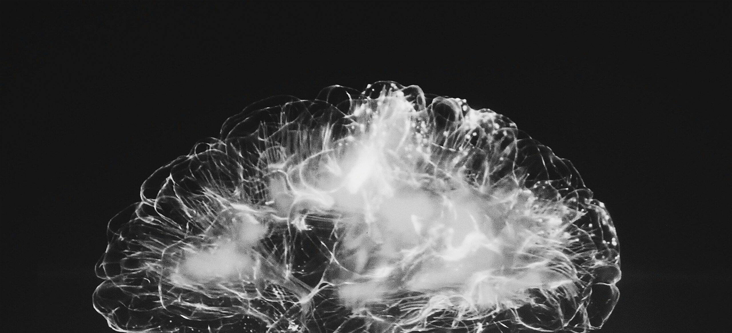 Abstract image in black and white emulating a brain