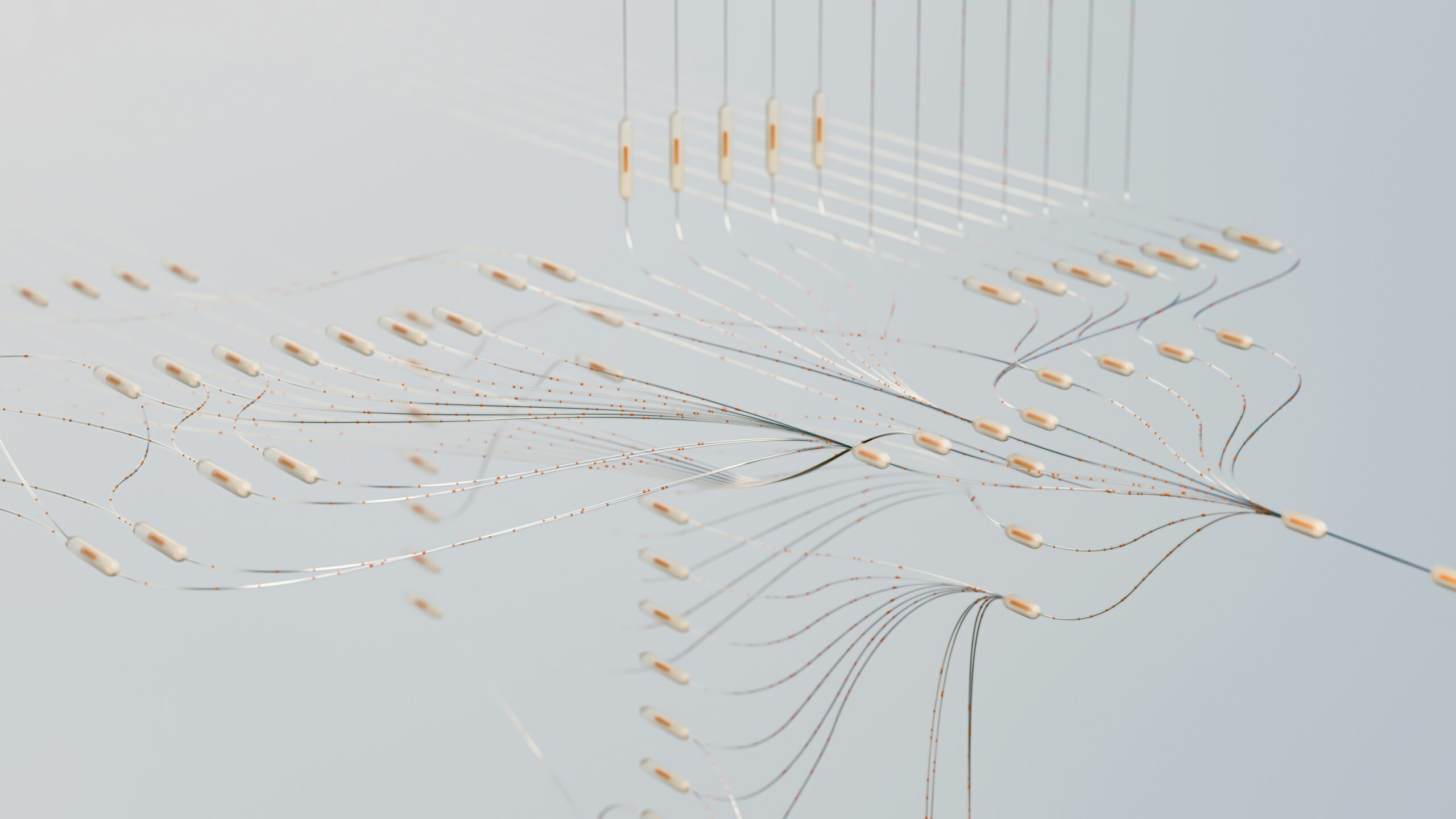 Network of thin cords with red dots running through them